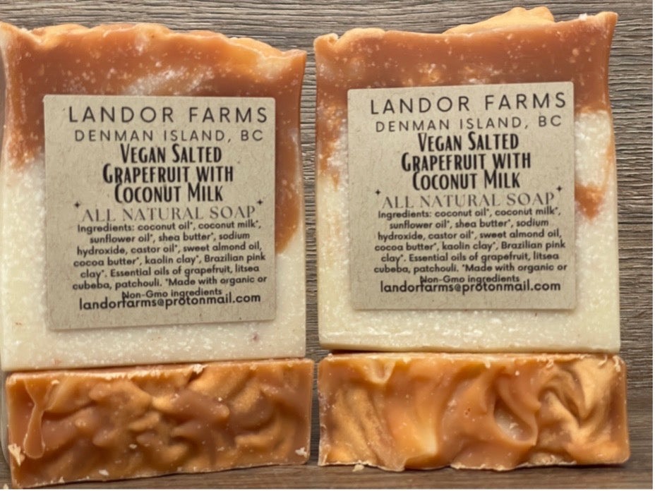 Two labelled Vegan Salted Grapefruit bars, cream with terracotta tops, each standing on a bar lying flat, on wood