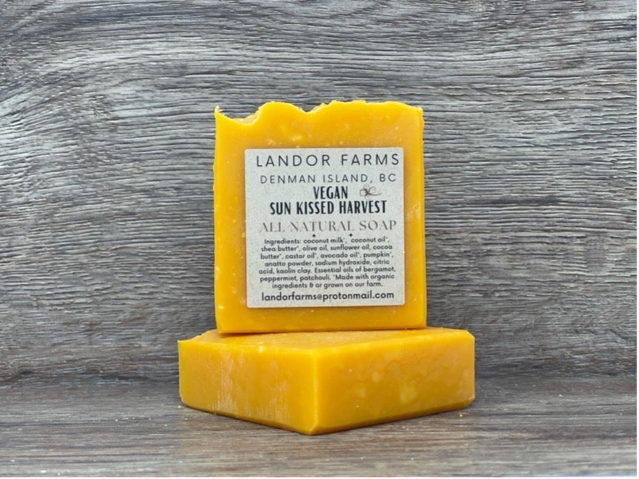 Vegan Sunkissed Harvest soap: a bright orange bar with a Landor Farms label standing on a second orange bar, on wood